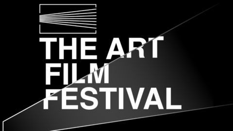 Фестиваль фильмов об искусстве ART FILM FESTIVAL